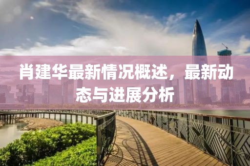 肖建華最新情況概述，最新動(dòng)態(tài)與進(jìn)展分析