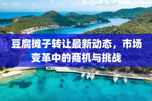豆腐攤子轉(zhuǎn)讓最新動態(tài)，市場變革中的商機(jī)與挑戰(zhàn)