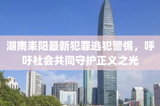 湖南耒陽(yáng)最新犯罪逃犯警惕，呼吁社會(huì)共同守護(hù)正義之光
