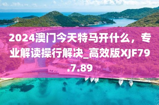 2024澳門今天特馬開什么，專業(yè)解讀操行解決_高效版XJF79.7.89