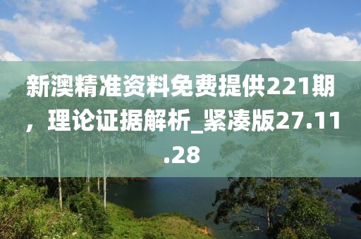 新澳精準(zhǔn)資料免費(fèi)提供221期，理論證據(jù)解析_緊湊版27.11.28