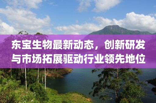 蘇州車禍新聞，事故深度分析與反思