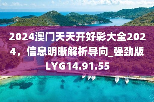 2024澳門天天開好彩大全2024，信息明晰解析導(dǎo)向_強(qiáng)勁版LYG14.91.55