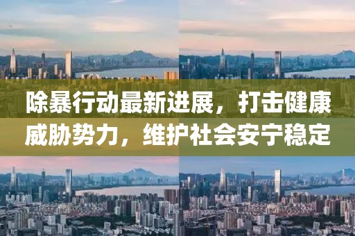 斯蒂卡最新底板，重塑乒乓球底板技術(shù)的創(chuàng)新之作