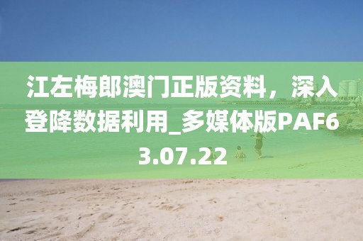 江左梅郎澳門正版資料，深入登降數(shù)據(jù)利用_多媒體版PAF63.07.22