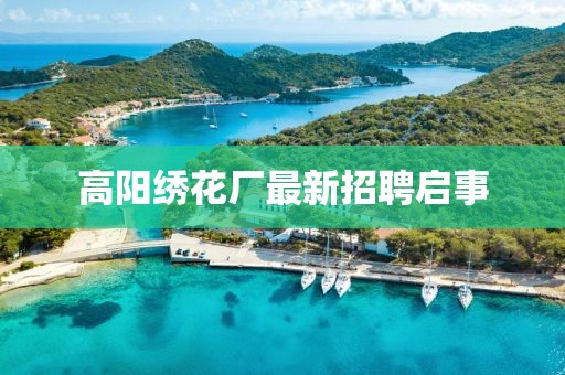 凝晨 第13頁(yè)