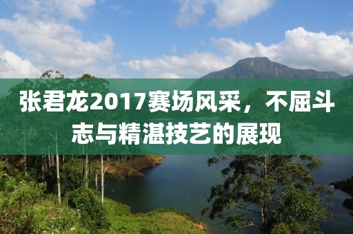張君龍2017賽場(chǎng)風(fēng)采，不屈斗志與精湛技藝的展現(xiàn)