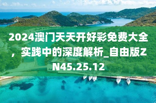 2024澳門天天開好彩免費大全，實踐中的深度解析_自由版ZN45.25.12