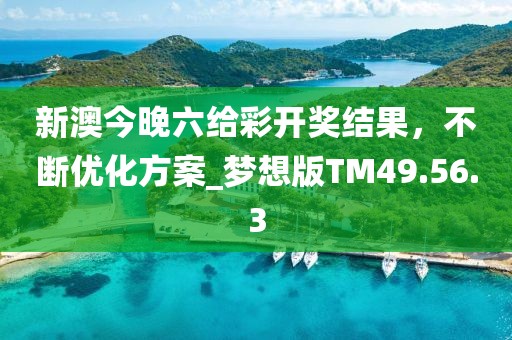 新澳今晚六給彩開獎結(jié)果，不斷優(yōu)化方案_夢想版TM49.56.3