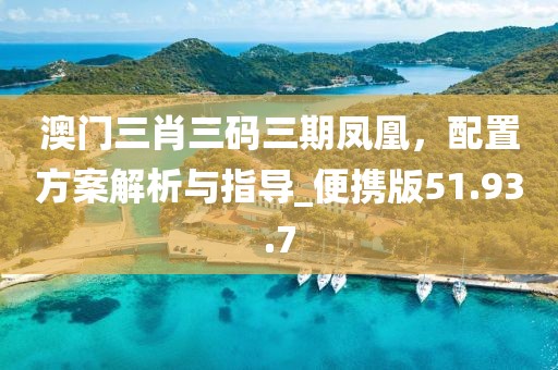 澳門三肖三碼三期鳳凰，配置方案解析與指導(dǎo)_便攜版51.93.7