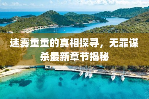 迷霧重重的真相探尋，無(wú)罪謀殺最新章節(jié)揭秘