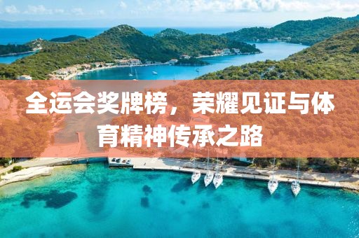 全運(yùn)會(huì)獎(jiǎng)牌榜，榮耀見證與體育精神傳承之路