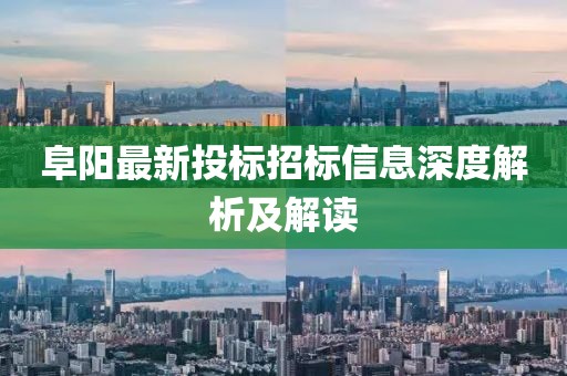 阜陽(yáng)最新投標(biāo)招標(biāo)信息深度解析及解讀