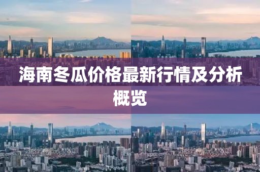 海南冬瓜價格最新行情及分析概覽