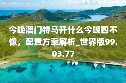 今晚澳門特馬開什么今晚四不像，配置方案解析_世界版99.03.77