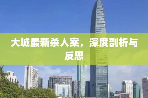 大城最新殺人案，深度剖析與反思