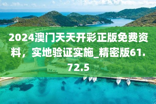 2024澳門天天開彩正版免費資料，實地驗證實施_精密版61.72.5