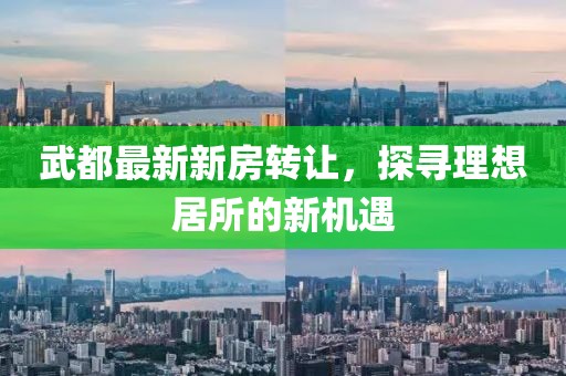 武都最新新房轉(zhuǎn)讓，探尋理想居所的新機(jī)遇