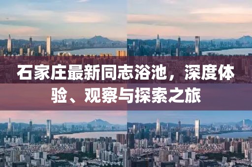石家莊最新同志浴池，深度體驗(yàn)、觀察與探索之旅