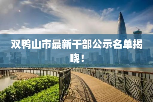 雙鴨山市最新干部公示名單揭曉！
