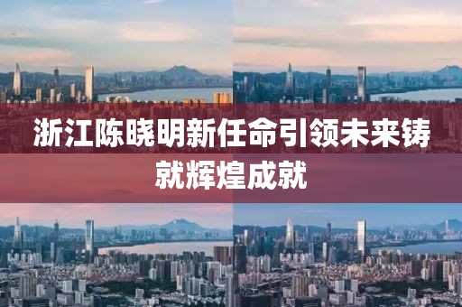 浙江陳曉明新任命引領(lǐng)未來鑄就輝煌成就