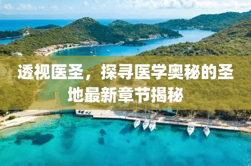 透視醫(yī)圣，探尋醫(yī)學(xué)奧秘的圣地最新章節(jié)揭秘