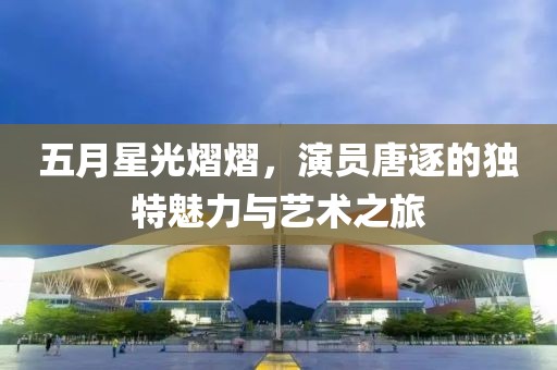 廈門司機最新招聘，探索職業(yè)發(fā)展無限機遇