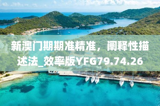 新澳門期期準精準，闡釋性描述法_效率版YFG79.74.26
