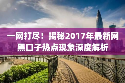 一網(wǎng)打盡！揭秘2017年最新網(wǎng)黑口子熱點現(xiàn)象深度解析