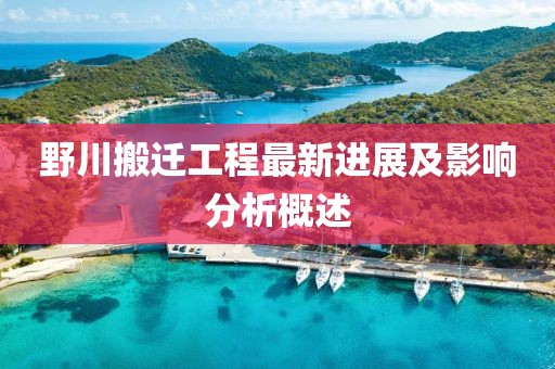 野川搬遷工程最新進展及影響分析概述