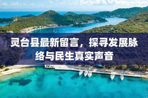 靈臺(tái)縣最新留言，探尋發(fā)展脈絡(luò)與民生真實(shí)聲音