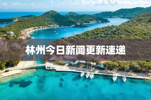 林州今日新聞更新速遞