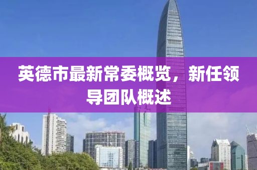 英德市最新常委概覽，新任領導團隊概述