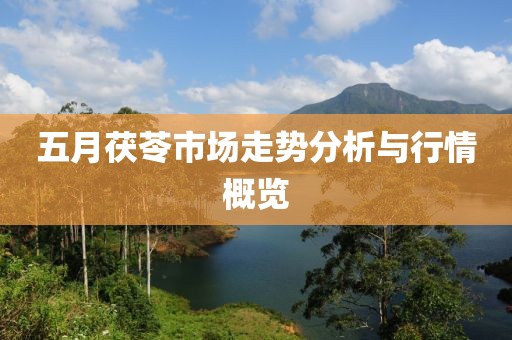 關(guān)于2017年狗肉節(jié)的最新觀察與反思，重新審視與行動(dòng)呼吁