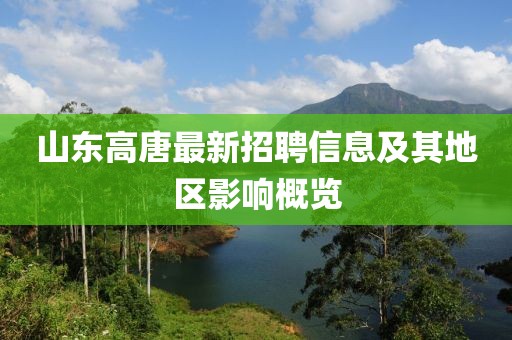 山東高唐最新招聘信息及其地區(qū)影響概覽