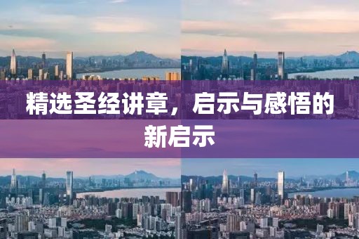 精選圣經(jīng)講章，啟示與感悟的新啟示