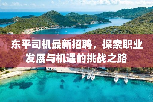 東平司機(jī)最新招聘，探索職業(yè)發(fā)展與機(jī)遇的挑戰(zhàn)之路