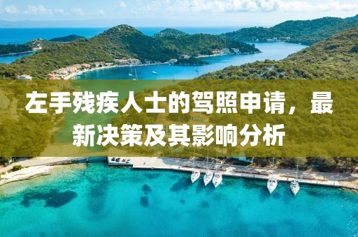 左手殘疾人士的駕照申請(qǐng)，最新決策及其影響分析