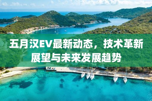 升仕310最新巡航，重塑未來巡航領(lǐng)域愿景的首選之選