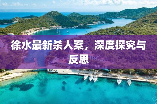 徐水最新殺人案，深度探究與反思