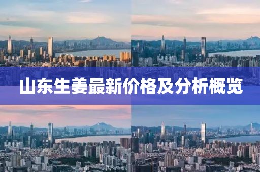 山東生姜最新價格及分析概覽