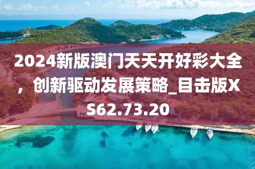 2024新版澳門天天開好彩大全，創(chuàng)新驅(qū)動發(fā)展策略_目擊版XS62.73.20