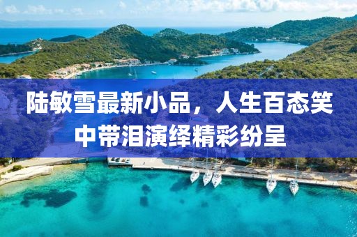 陸敏雪最新小品，人生百態(tài)笑中帶淚演繹精彩紛呈