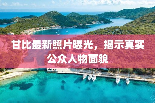 甘比最新照片曝光，揭示真實(shí)公眾人物面貌