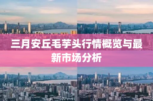 三月安丘毛芋頭行情概覽與最新市場(chǎng)分析