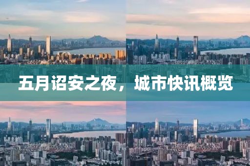 三月新政協(xié)車牌，時代標(biāo)志與民主象征的展現(xiàn)