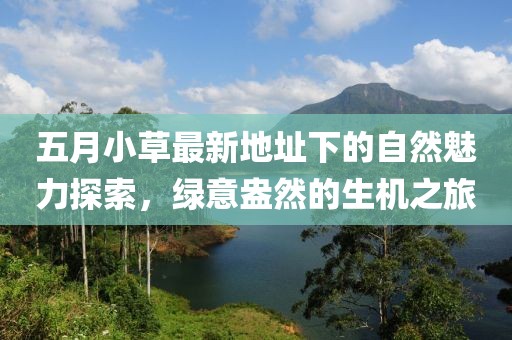 三月乒乓球比賽激戰(zhàn)正酣，頂尖技藝的激烈角逐