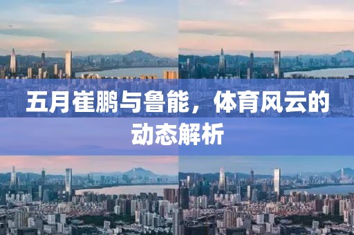 三月金號(hào)毛巾批發(fā)價(jià)格深度解析與比較