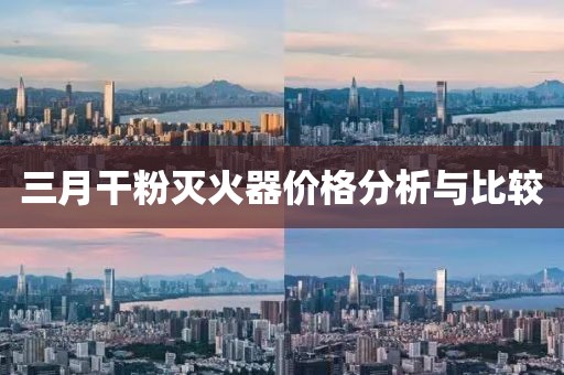 三月干粉滅火器價(jià)格分析與比較
