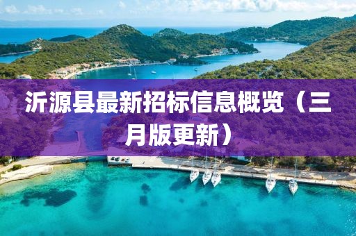 沂源縣最新招標(biāo)信息概覽（三月版更新）